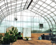 Edgewood greenhouse